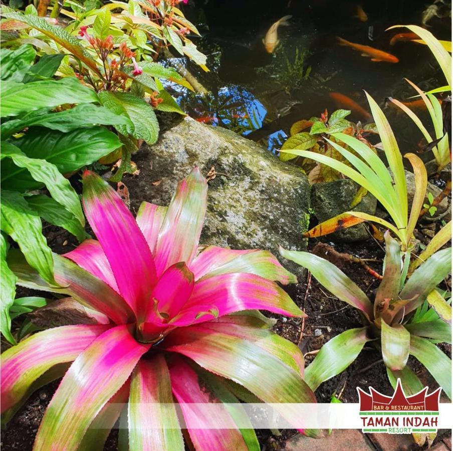 Taman Indah Resort Tamanredjo エクステリア 写真