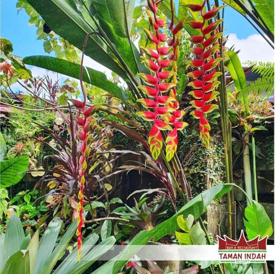 Taman Indah Resort Tamanredjo エクステリア 写真